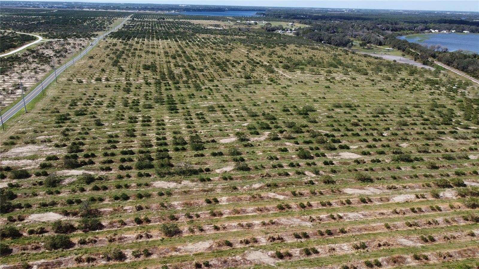 36.7 Acres of Land for Sale in Avon Park, Florida