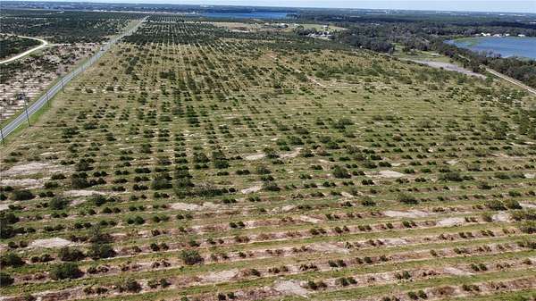 36.7 Acres of Land for Sale in Avon Park, Florida