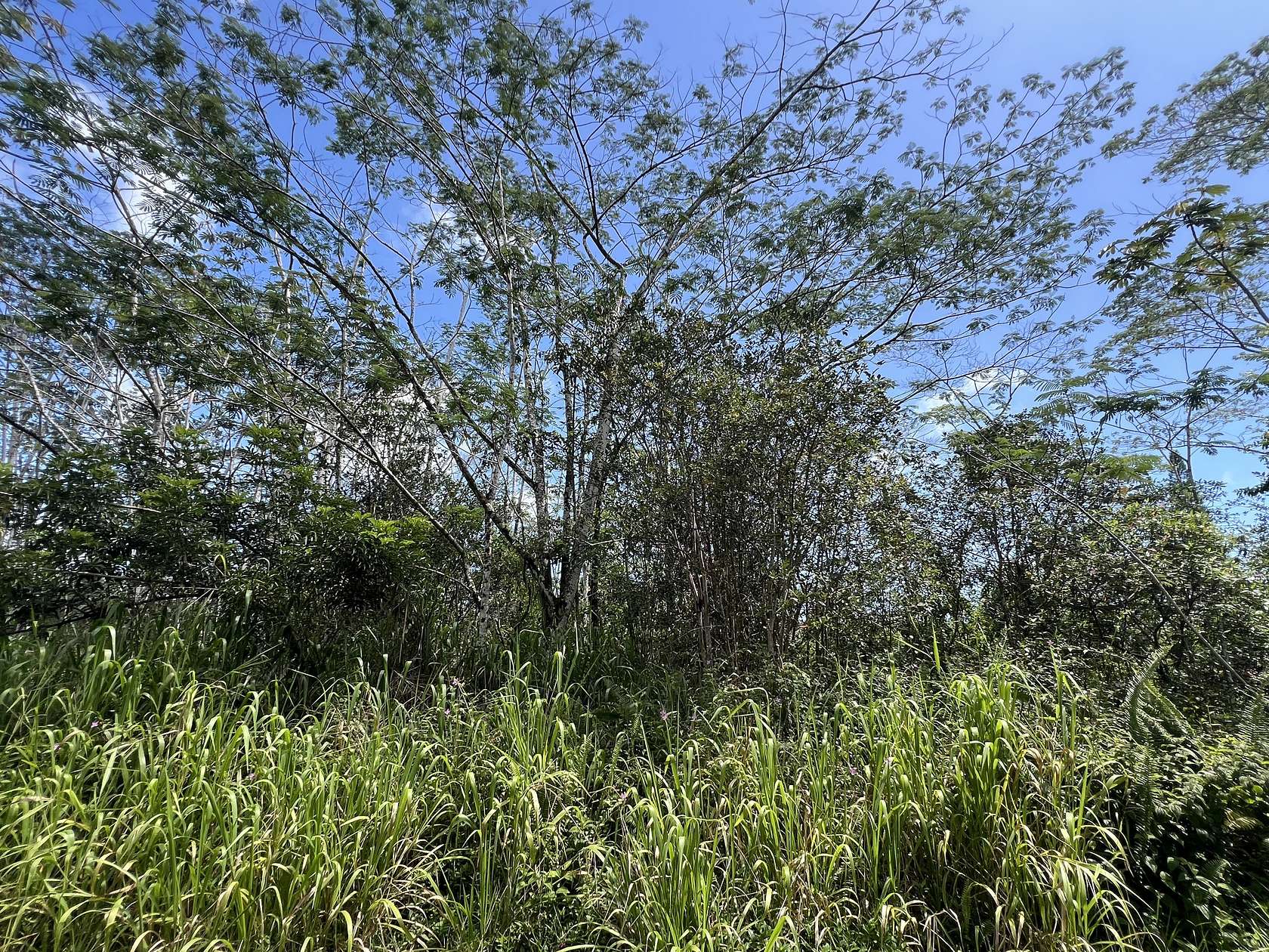 0.19 Acres of Residential Land for Sale in Pahoa, Hawaii