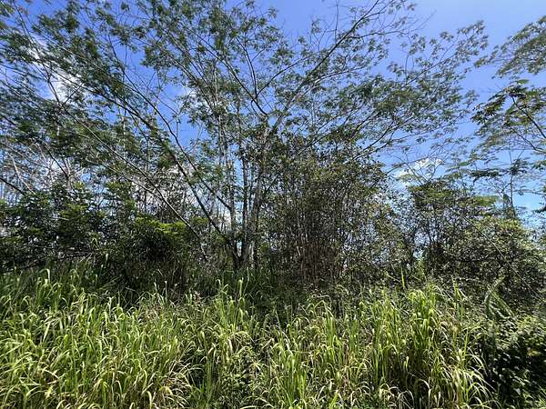 0.19 Acres of Residential Land for Sale in Pahoa, Hawaii