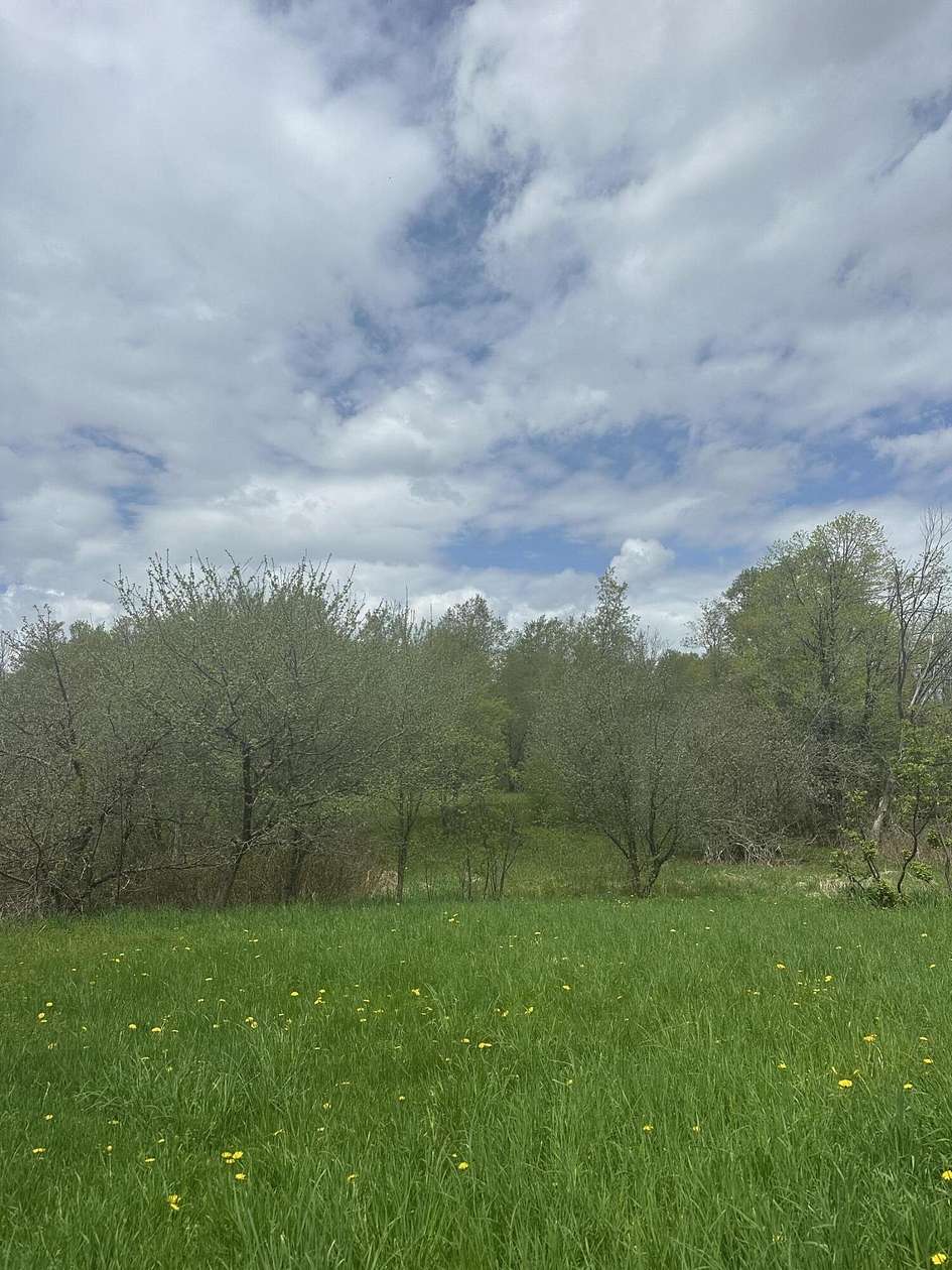 15 Acres of Recreational Land for Sale in Beekmantown, New York