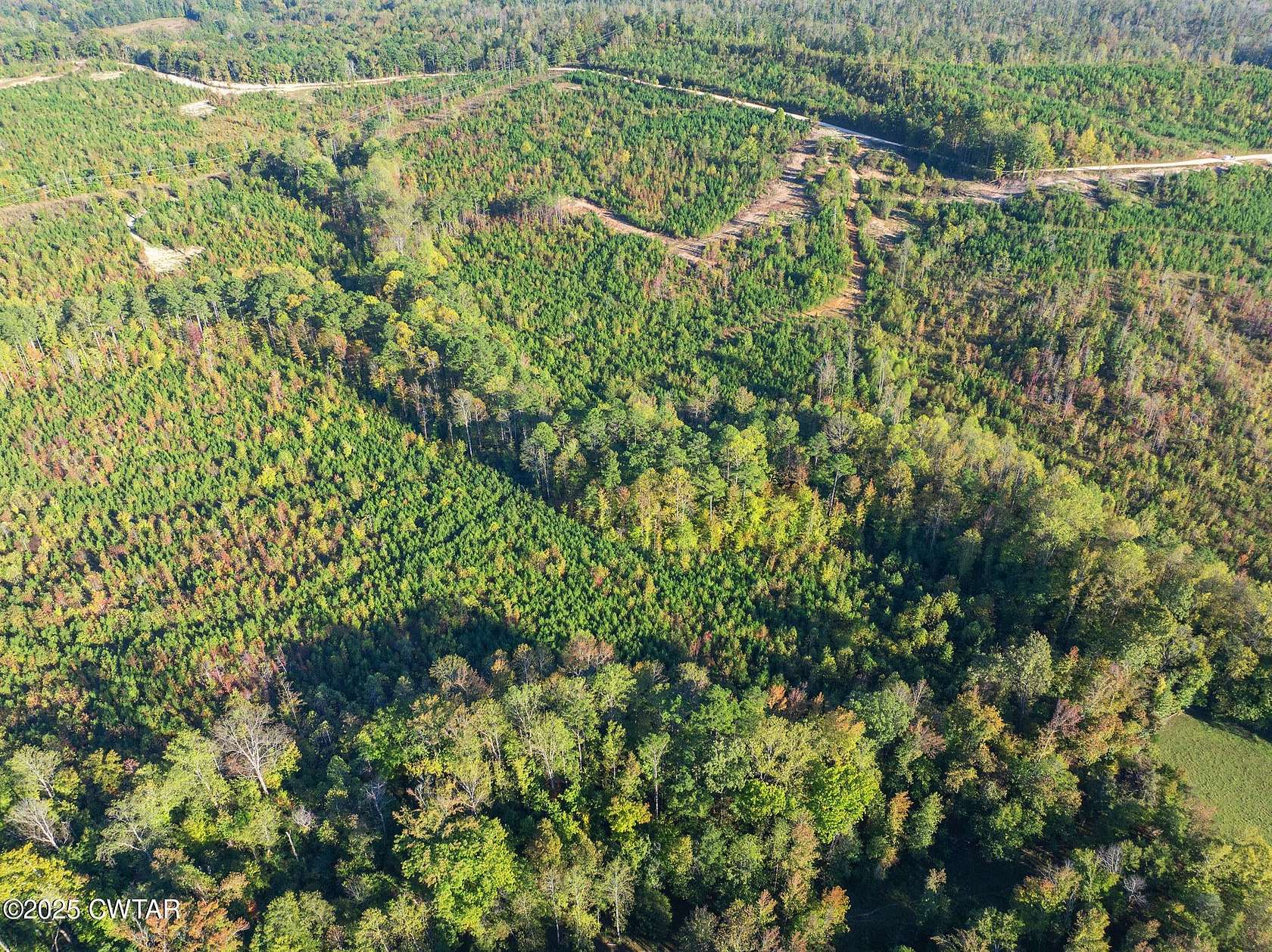 66.6 Acres of Recreational & Residential Land for Sale in Bath Springs, Tennessee