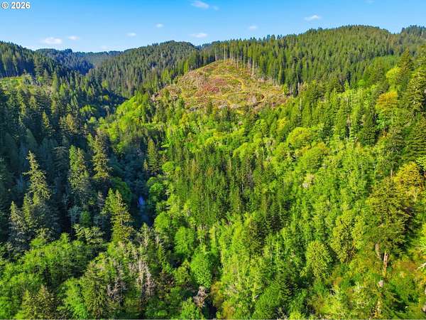 6.24 Acres of Land for Sale in Florence, Oregon