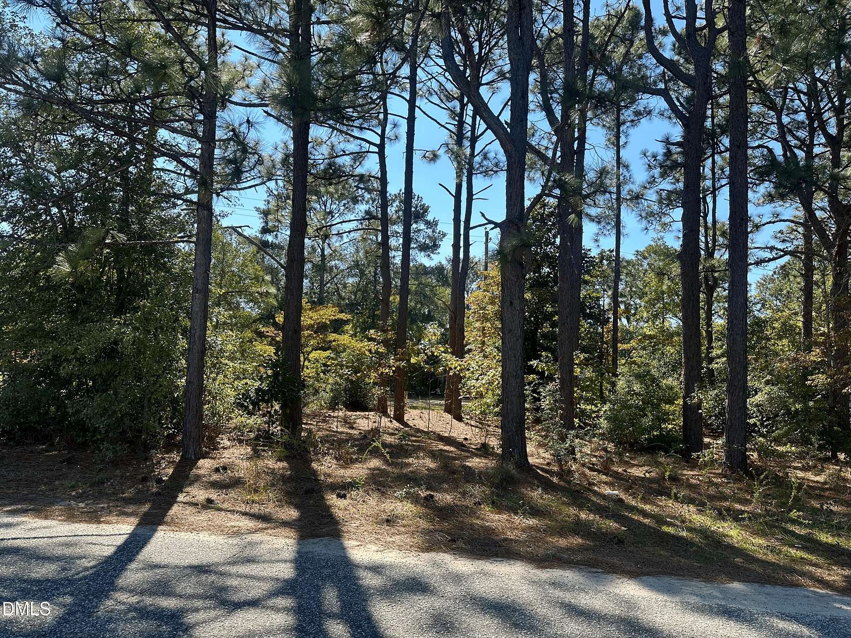 0.45 Acres of Residential Land for Sale in Hamlet, North Carolina