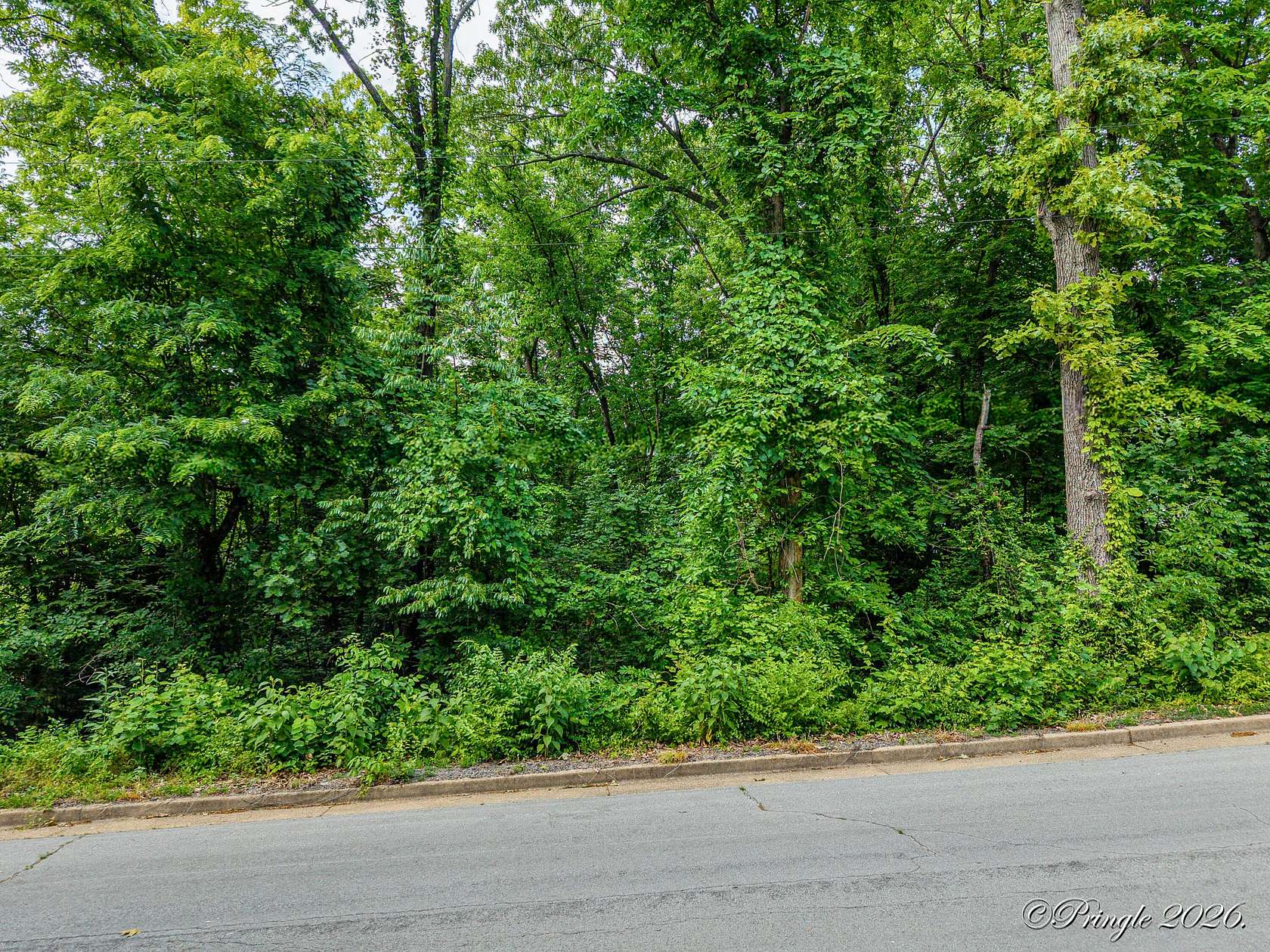 0.3 Acres of Residential Land for Sale in West Plains, Missouri