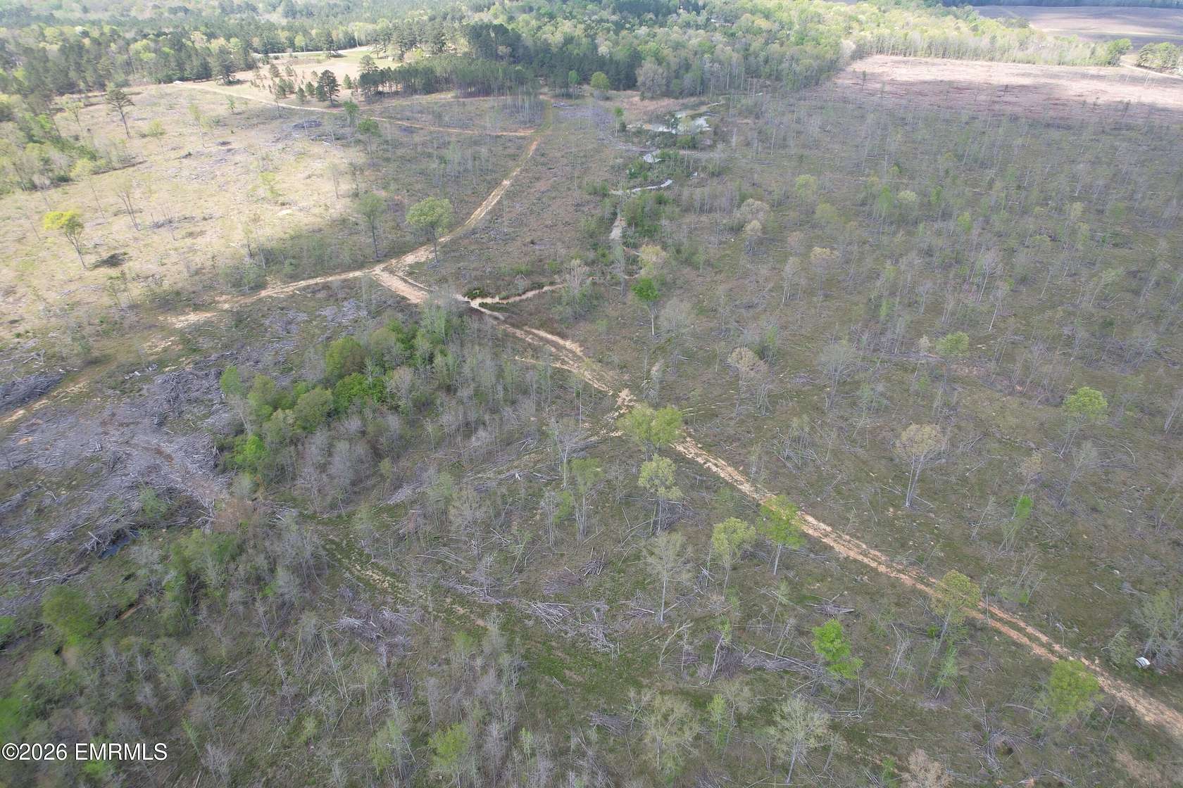 Land for Sale in Waynesboro, Mississippi