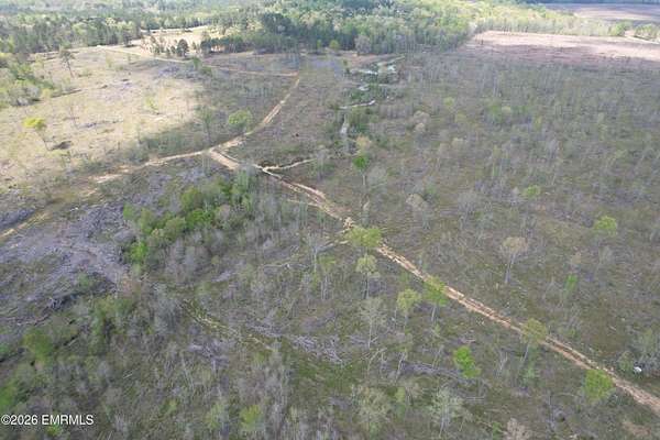 Land for Sale in Waynesboro, Mississippi