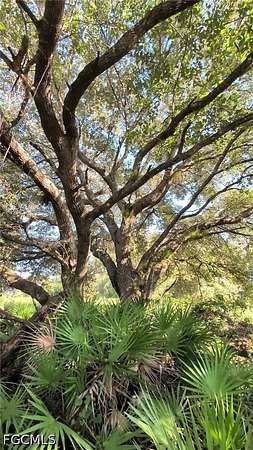 0.5 Acres of Residential Land for Sale in Alva, Florida