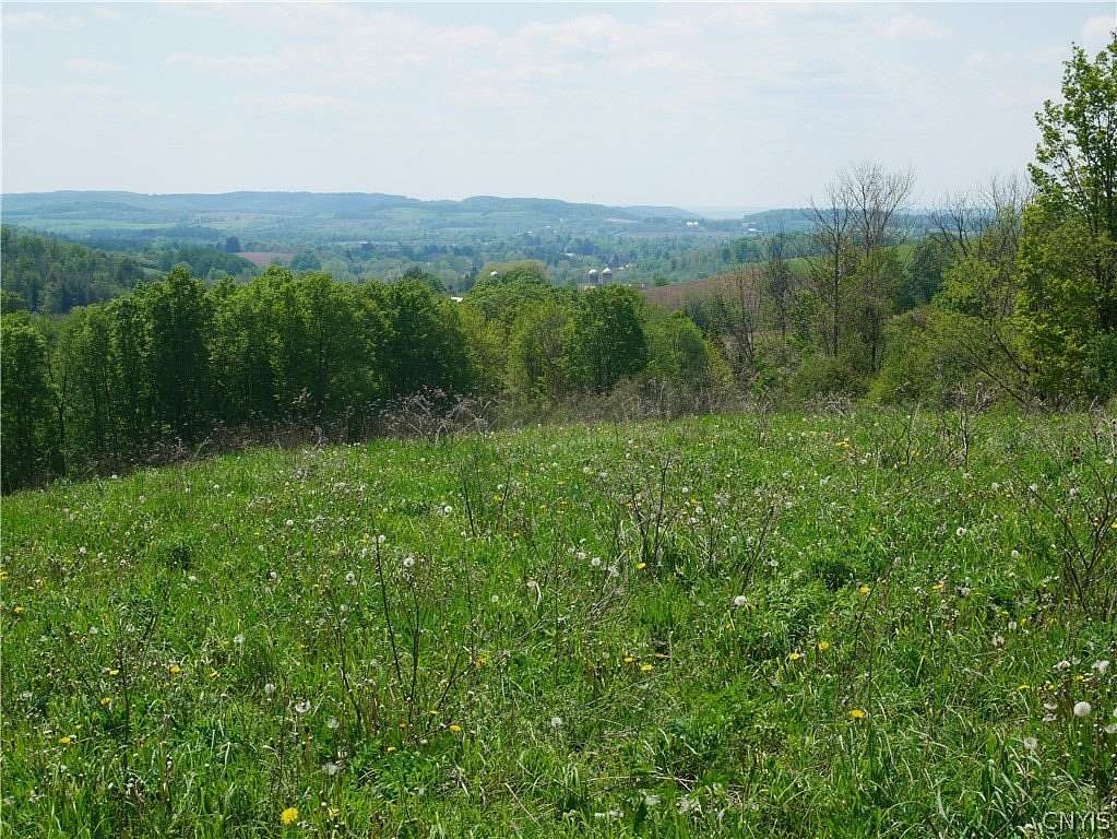 98.2 Acres of Agricultural & Residential Land for Sale in Waterville, New York