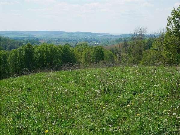 98.2 Acres of Agricultural & Residential Land for Sale in Waterville, New York