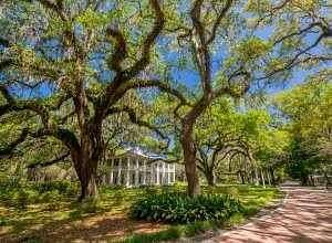 0.26 Acres of Residential Land for Sale in Santa Rosa Beach, Florida