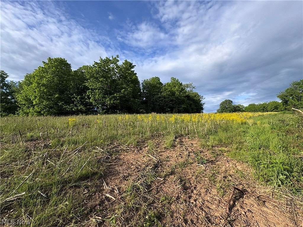 11 Acres of Recreational & Residential Land for Sale in Stockport, Ohio
