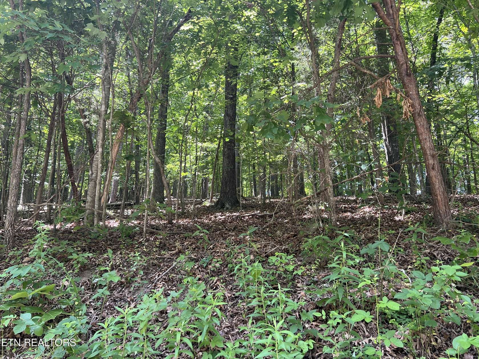 1.86 Acres of Residential Land for Sale in Loudon, Tennessee