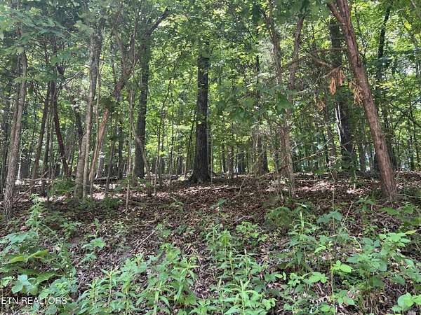 1.86 Acres of Residential Land for Sale in Loudon, Tennessee