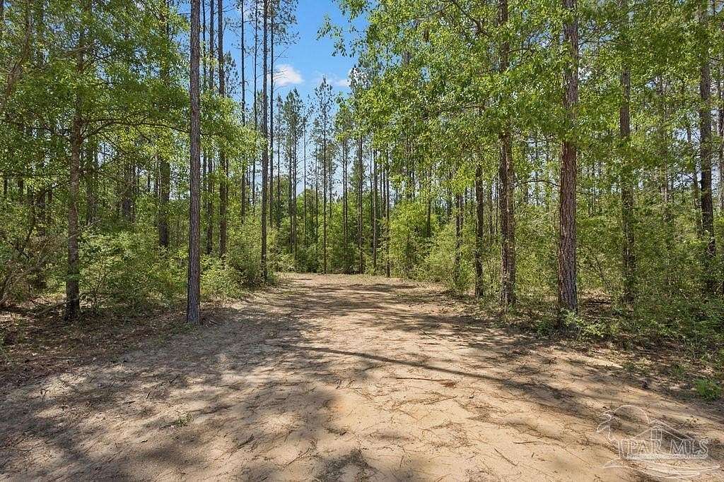 11.4 Acres of Recreational & Residential Land for Sale in Pace, Florida