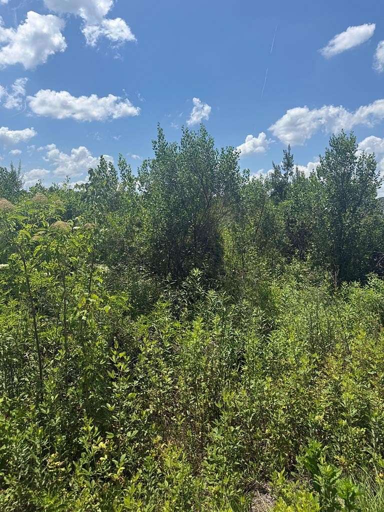 5 Acres of Residential Land for Sale in Alma, Georgia