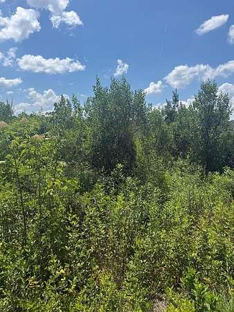 5 Acres of Residential Land for Sale in Alma, Georgia