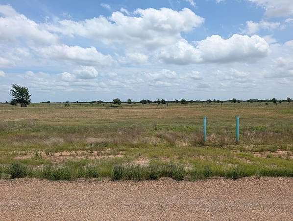 0.17 Acres of Residential Land for Sale in Mabank, Texas