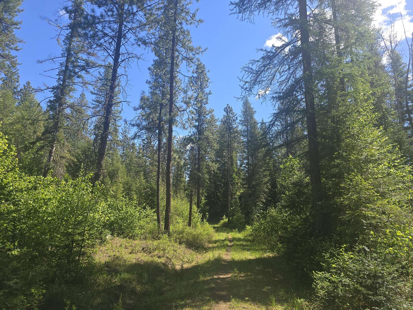 134 Acres of Land for Sale in Kettle Falls, Washington