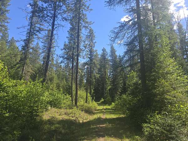 134 Acres of Land for Sale in Kettle Falls, Washington