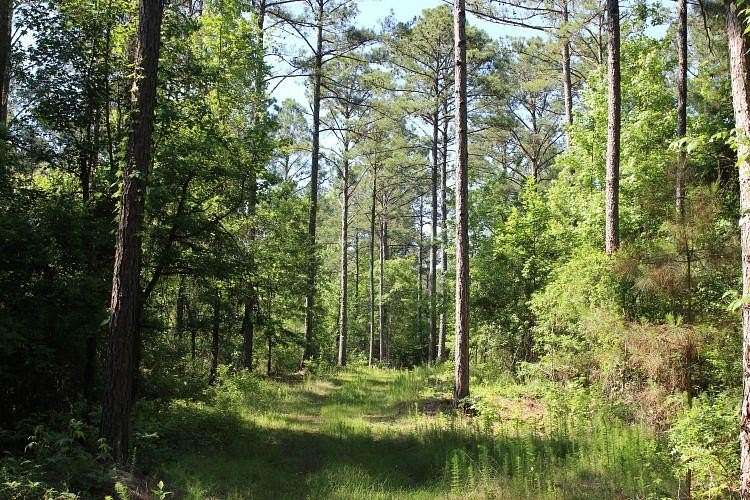 9.57 Acres of Residential Land for Sale in Notasulga, Alabama