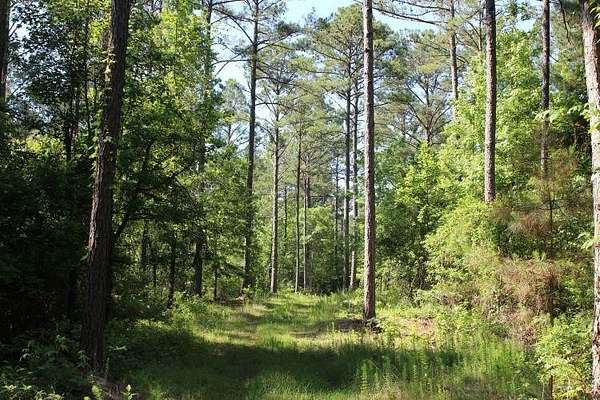 9.57 Acres of Residential Land for Sale in Notasulga, Alabama