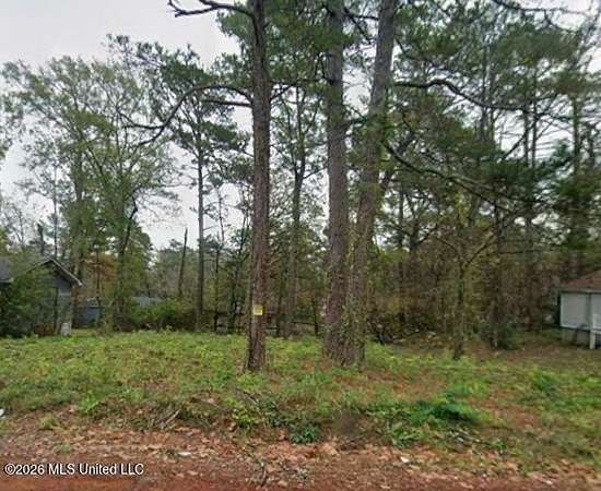 0.24 Acres of Residential Land for Sale in Jackson, Mississippi