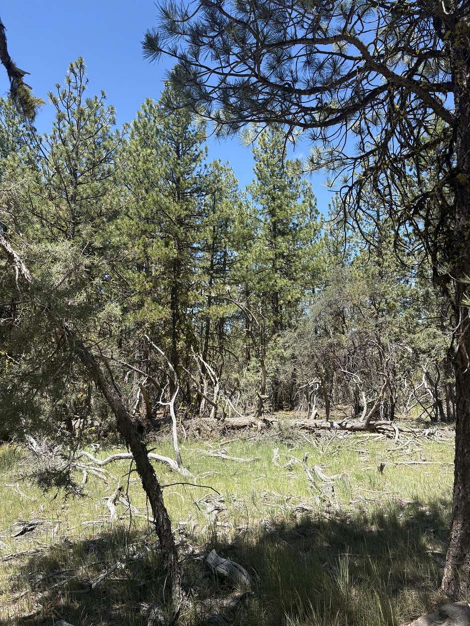 2.27 Acres of Residential Land for Sale in Bonanza, Oregon