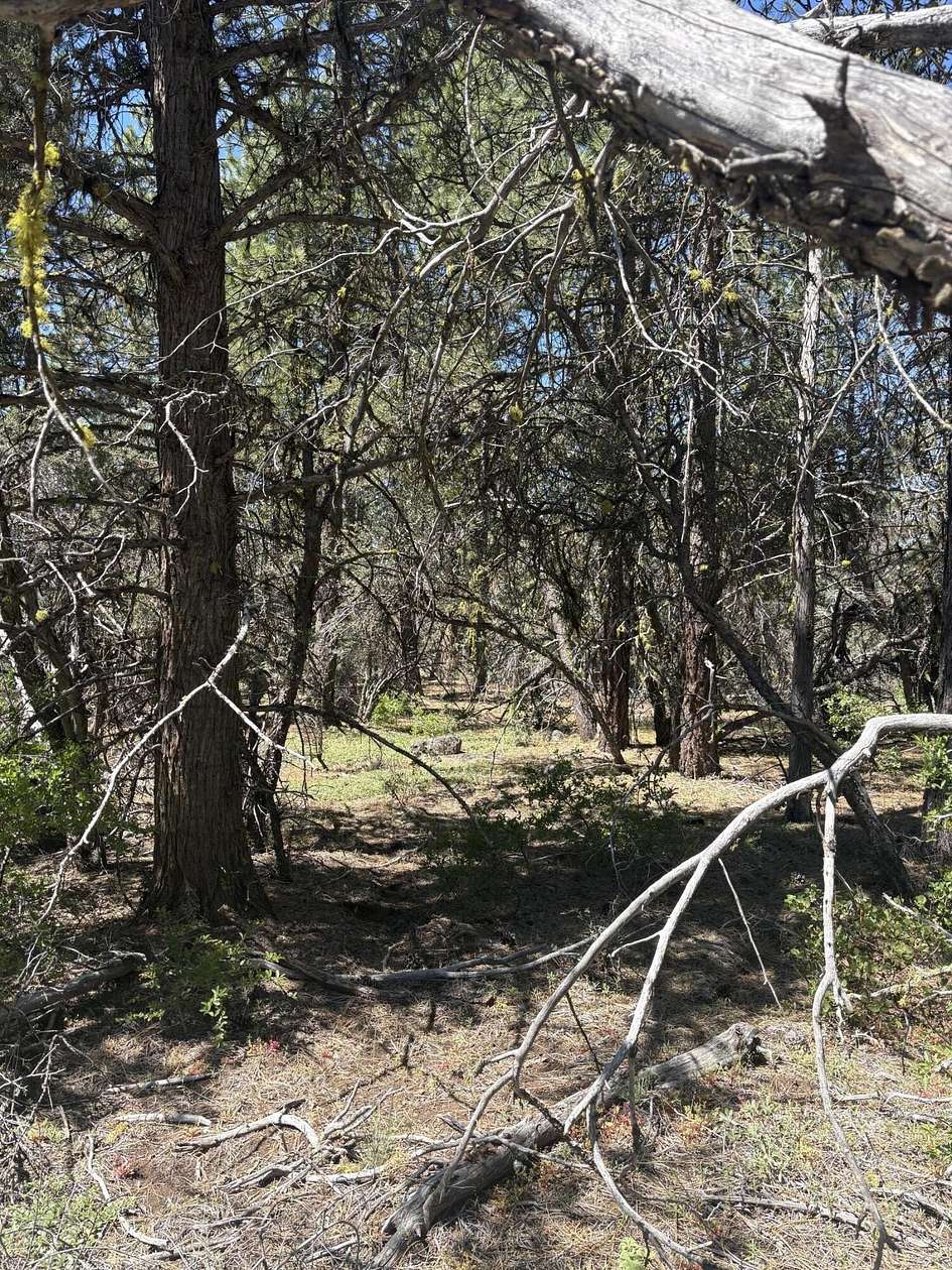 2.27 Acres of Residential Land for Sale in Bonanza, Oregon
