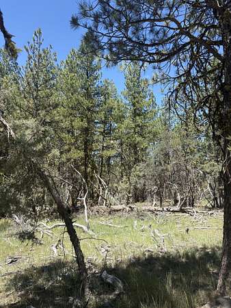 2.27 Acres of Residential Land for Sale in Bonanza, Oregon
