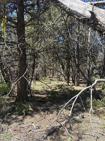 2.27 Acres of Residential Land for Sale in Bonanza, Oregon