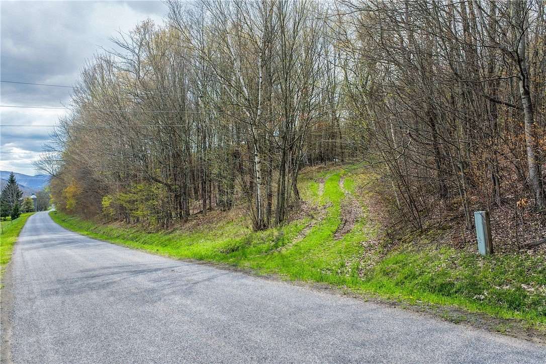 23.3 Acres of Recreational Land for Sale in Bloomville, New York