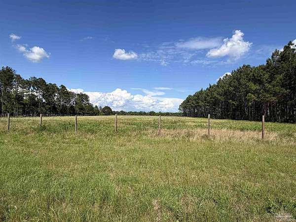 5.15 Acres of Land for Sale in Walnut Hill, Florida