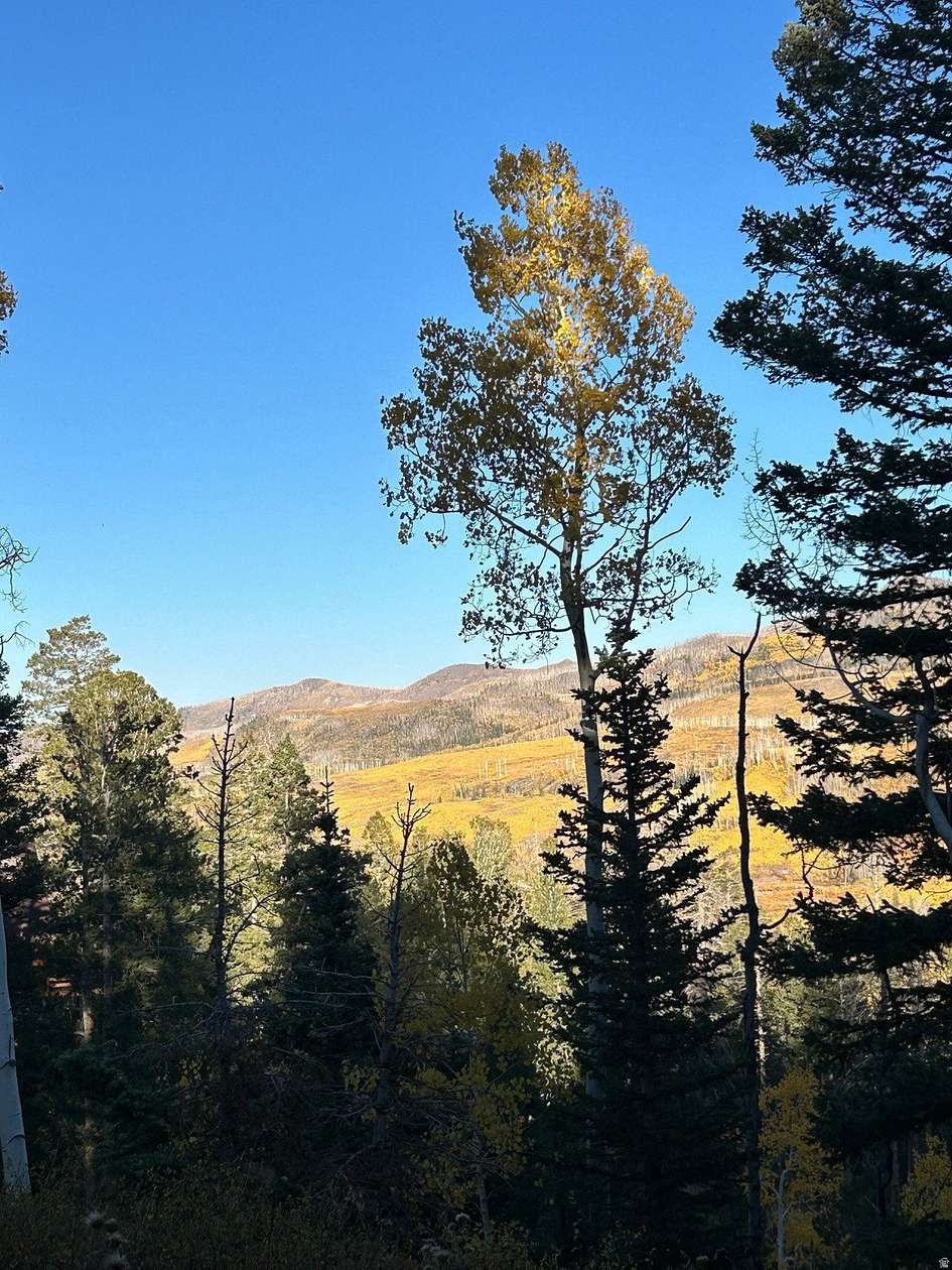 0.66 Acres of Residential Land for Sale in Brian Head, Utah