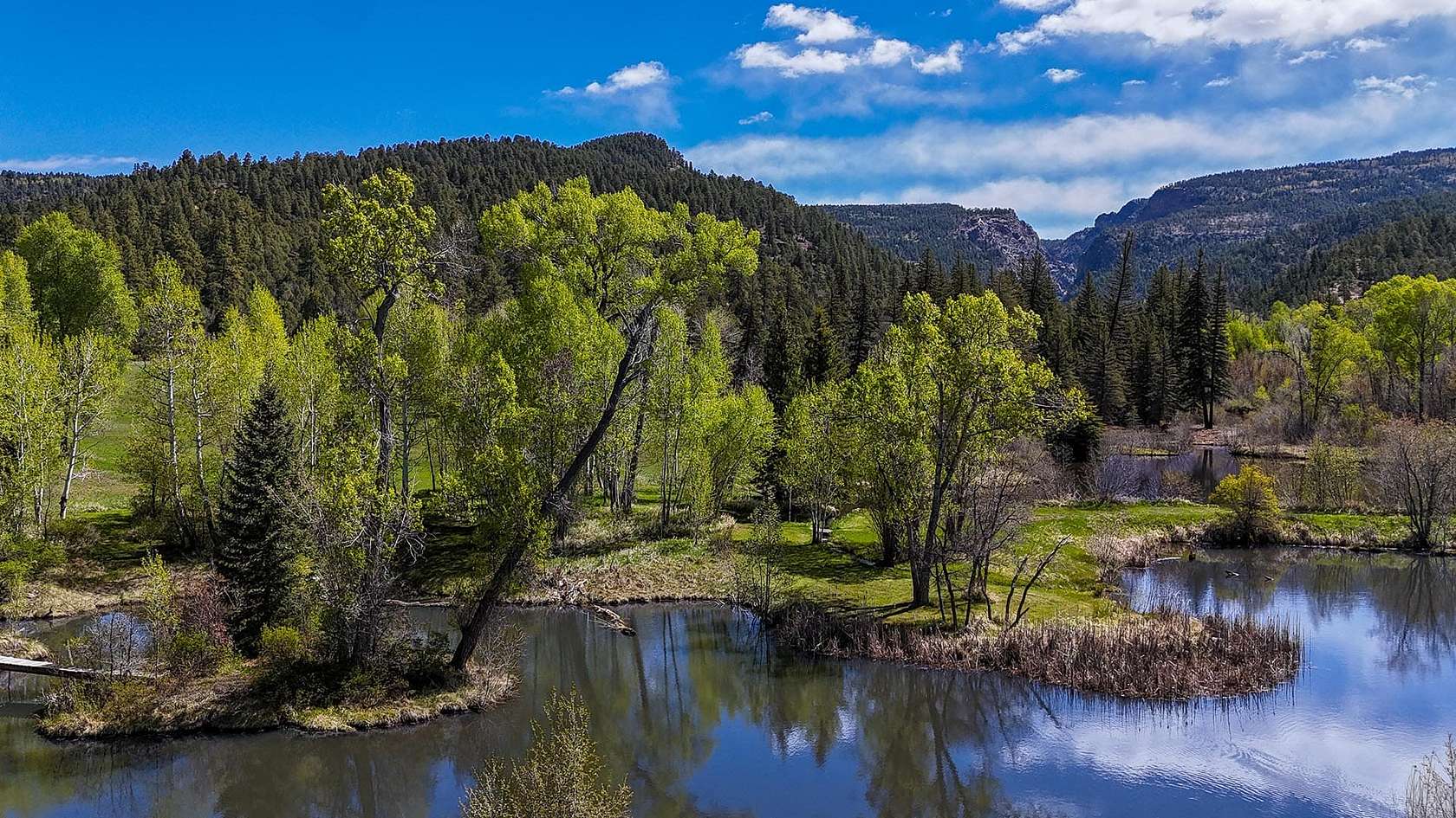 44 Acres of Recreational & Residential Land for Sale in Chama, New Mexico