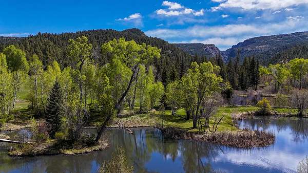44 Acres of Recreational & Residential Land for Sale in Chama, New Mexico
