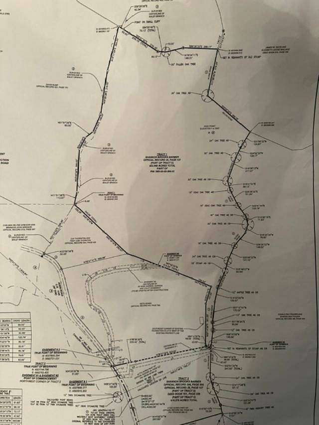 53 Acres of Recreational Land for Sale in Olive Hill, Kentucky