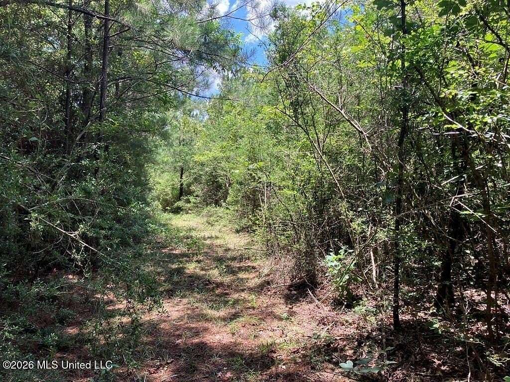 7 Acres of Land for Sale in Sandy Hook, Mississippi