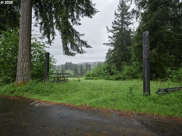 23 Acres of Land for Sale in Amboy, Washington