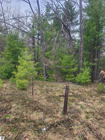 5 Acres of Land for Sale in National City, Michigan
