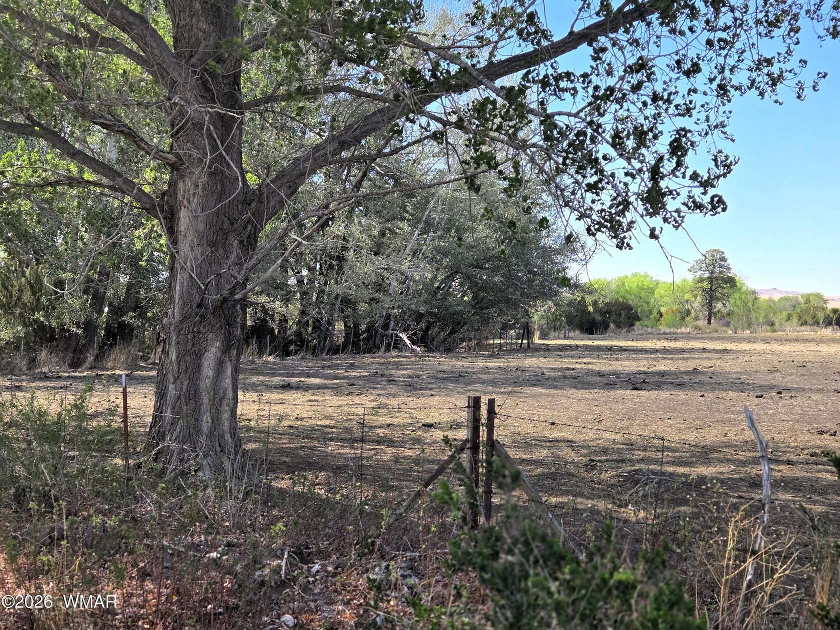 17.2 Acres of Land for Sale in Eagar, Arizona