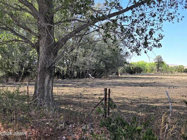 17.2 Acres of Land for Sale in Eagar, Arizona