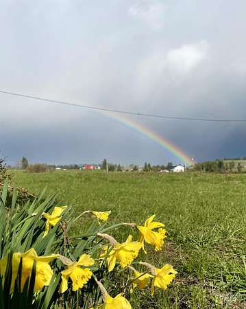 14.4 Acres of Land with Home for Sale in Kooskia, Idaho