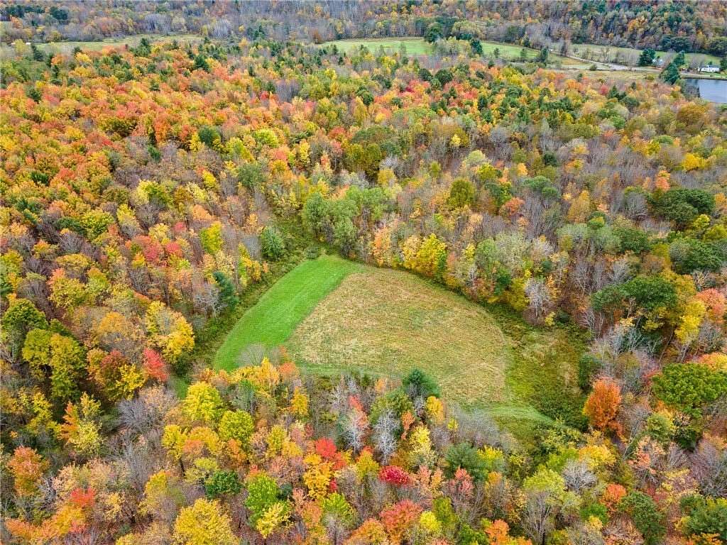 50 Acres of Recreational & Residential Land for Sale in Franklin, New York