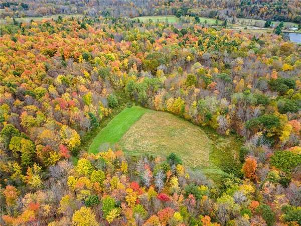 50 Acres of Recreational & Residential Land for Sale in Franklin, New York