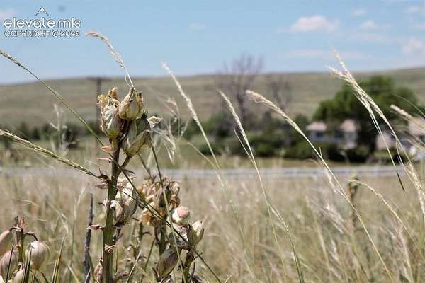 40.2 Acres of Agricultural & Residential Land for Sale in Calhan, Colorado