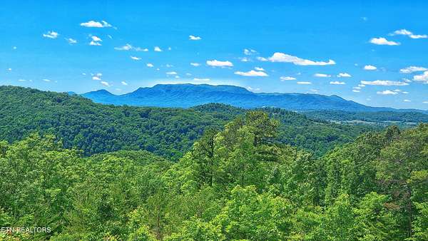 7.83 Acres of Land with Home for Sale in Del Rio, Tennessee