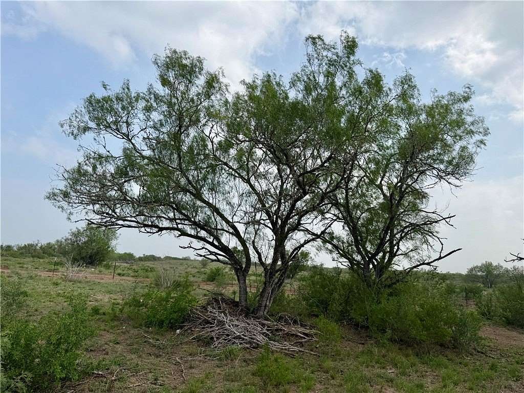 25 Acres of Recreational & Residential Land for Sale in San Diego, Texas