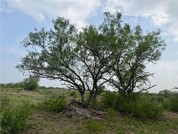 25 Acres of Recreational & Residential Land for Sale in San Diego, Texas