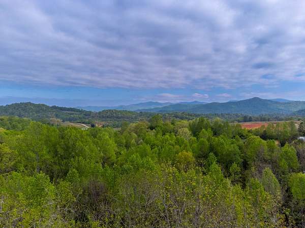 56.5 Acres of Recreational & Residential Land for Sale in Franklin, North Carolina